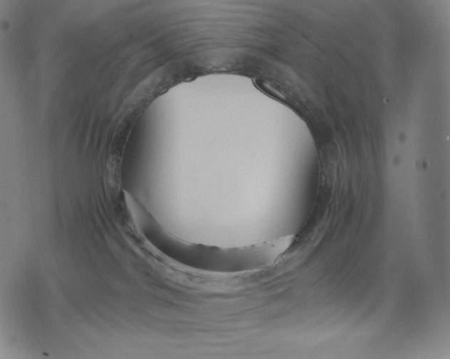 X0000071900044200607281814