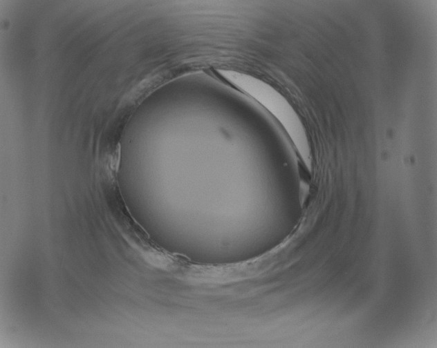 X0000071900045200607281814