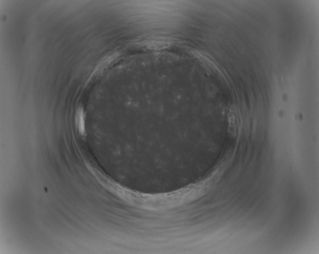 X0000071900046200607281814