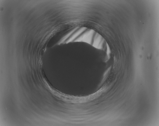 X0000071900048200607281814