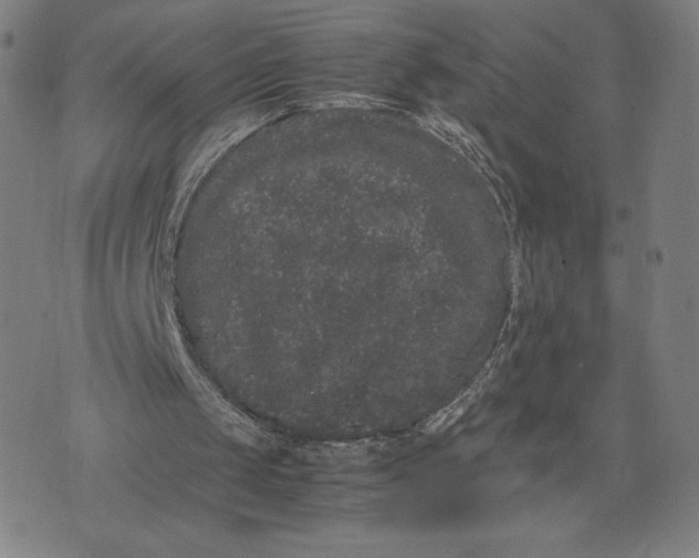 X0000071900049200607281813