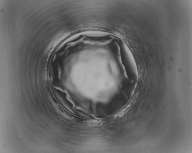 X0000071900050200607281813