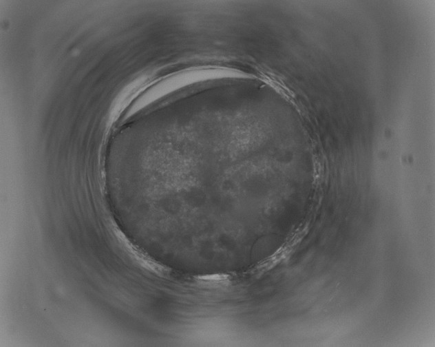 X0000071900053200607281813