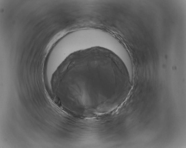 X0000071900054200607281813