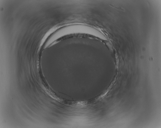 X0000071900056200607281813