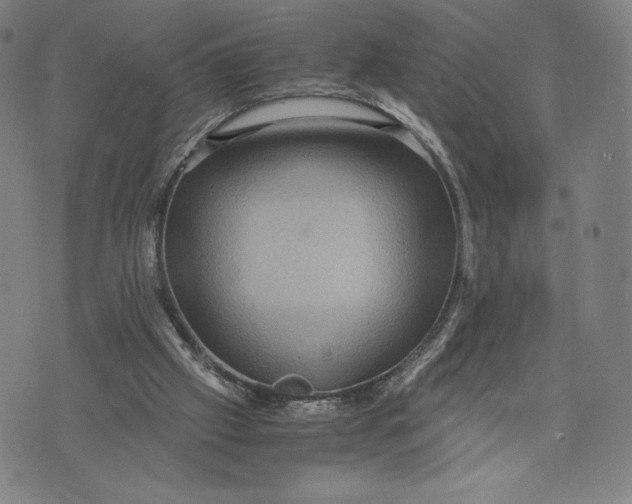 X0000071900057200607281813