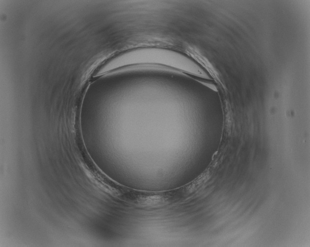 X0000071900058200607281813