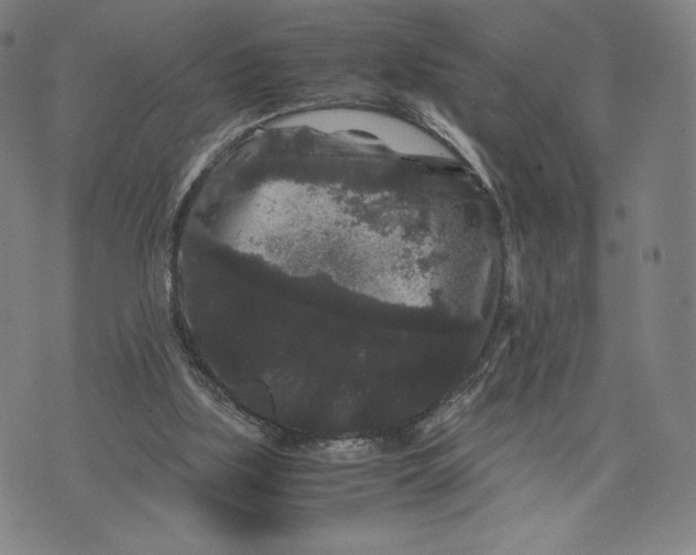 X0000071900059200607281813