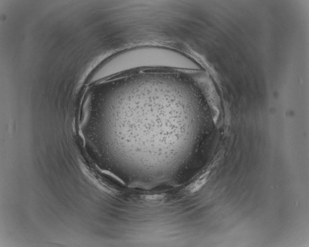 X0000071900060200607281813