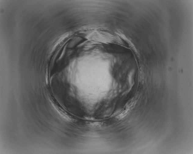 X0000071900062200607281814