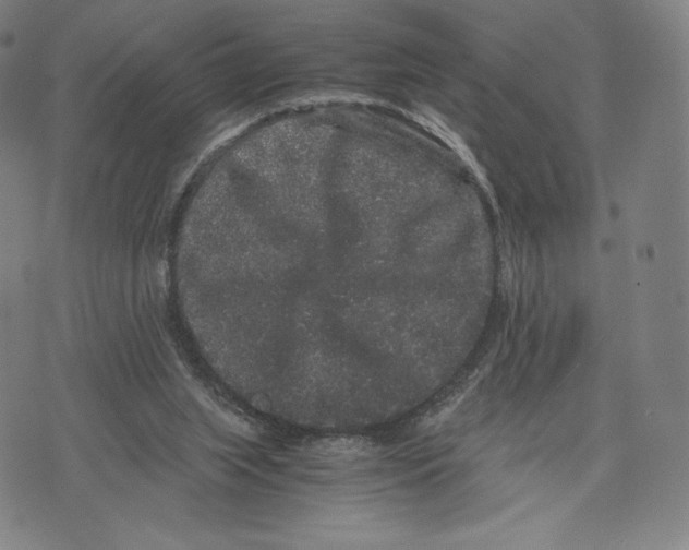 X0000071900063200607281814