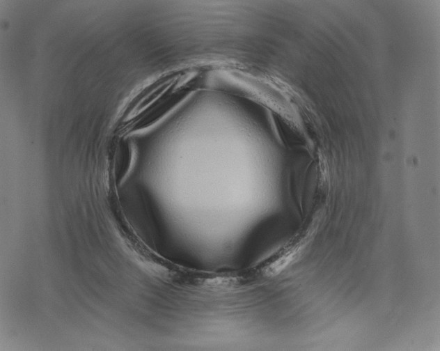 X0000071900064200607281814