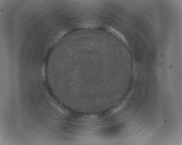 X0000071900065200607281814