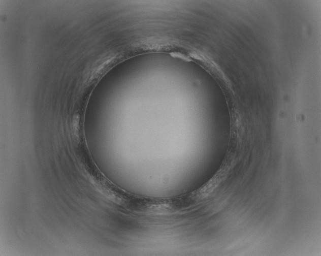 X0000071900066200607281814