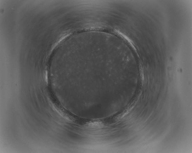 X0000071900067200607281814