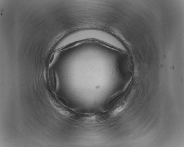 X0000071900068200607281814