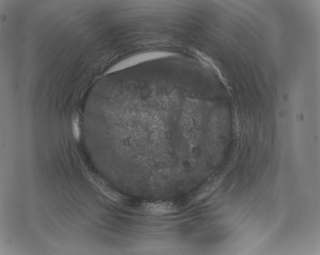 X0000071900069200607281814