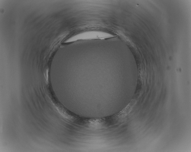 X0000071900070200607281814