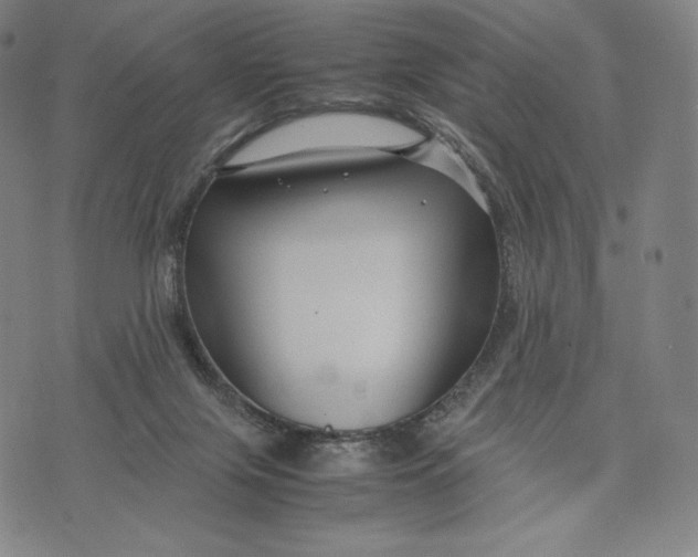 X0000071900071200607281814