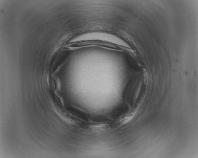 X0000071900072200607281814