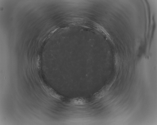 X0000071900073200607281814