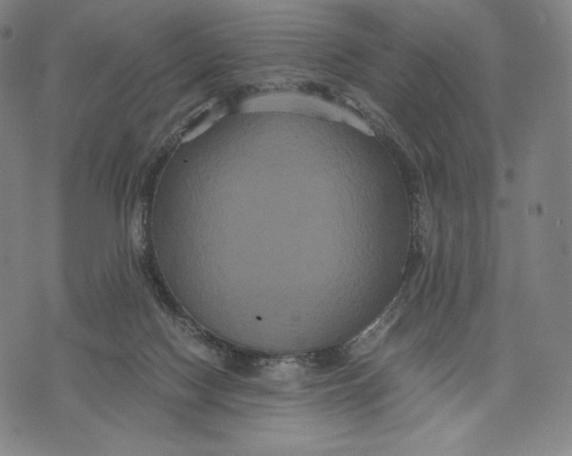 X0000071900074200607281814