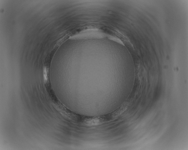 X0000071900075200607281814