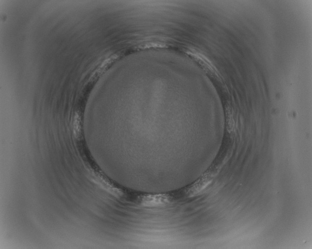 X0000071900077200607281814