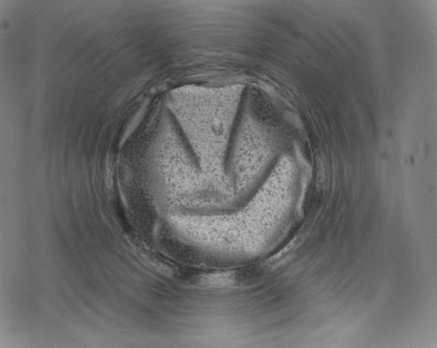 X0000071900078200607281814