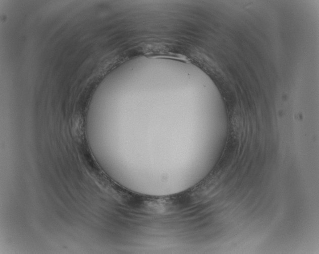 X0000071900079200607281814