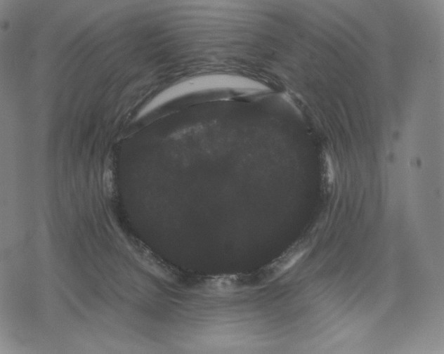 X0000071900080200607281814