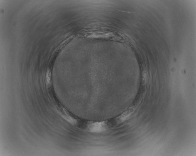 X0000071900081200607281814