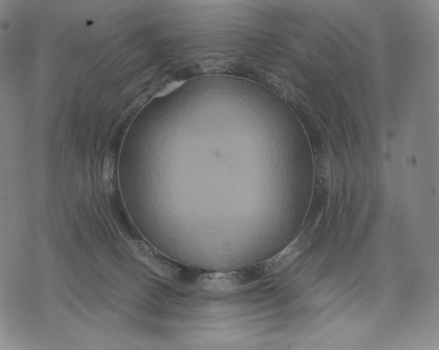 X0000071900082200607281814