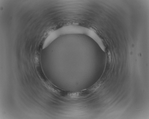 X0000071900084200607281814