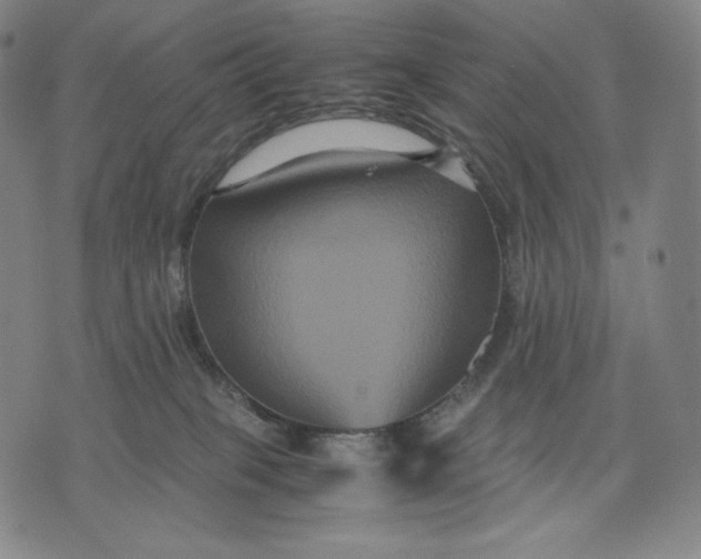 X0000071900085200607281814