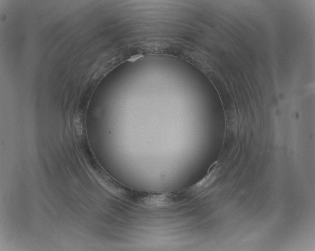 X0000071900086200607281814