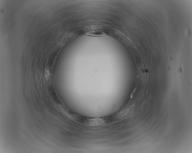 X0000071900087200607281814