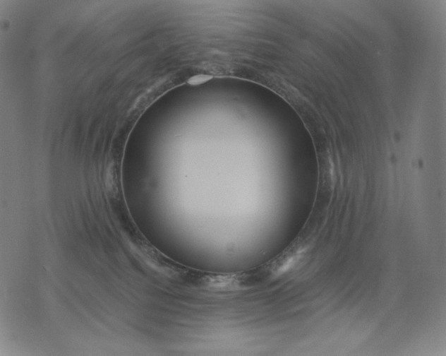 X0000071900088200607281814