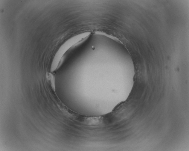 X0000071900089200607281814