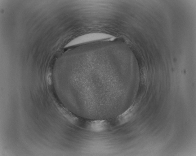 X0000071900090200607281814