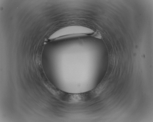 X0000071900091200607281814