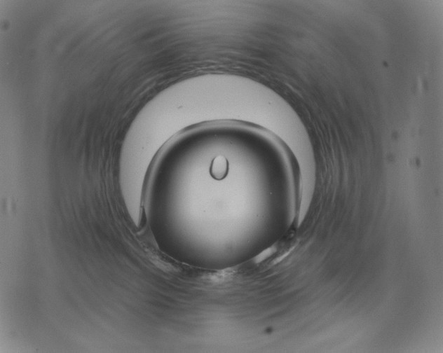 X0000071900092200607281814