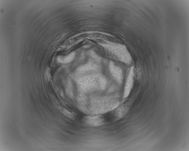 X0000071900093200607281814