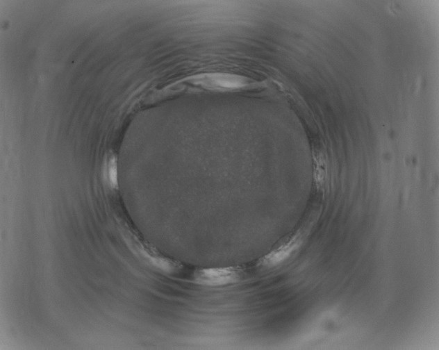 X0000071900095200607281814