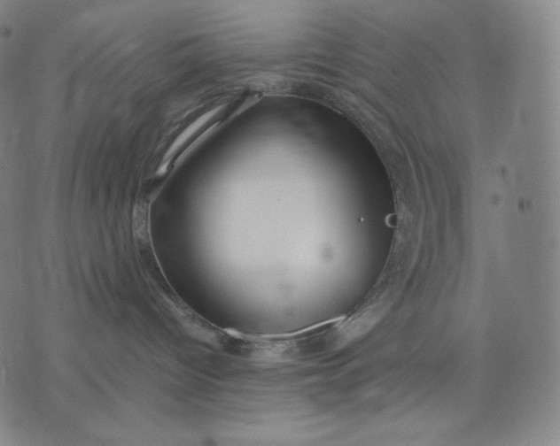 X0000071900096200607281814