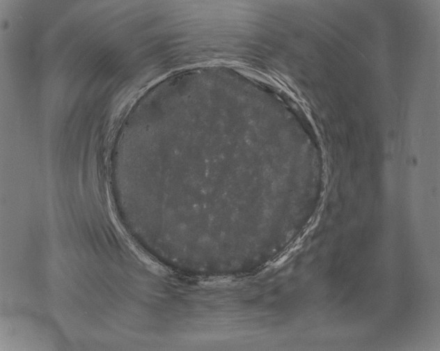 X0000071900097200607281813