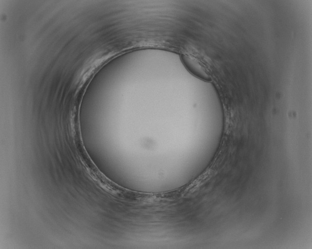 X0000071900098200607281813