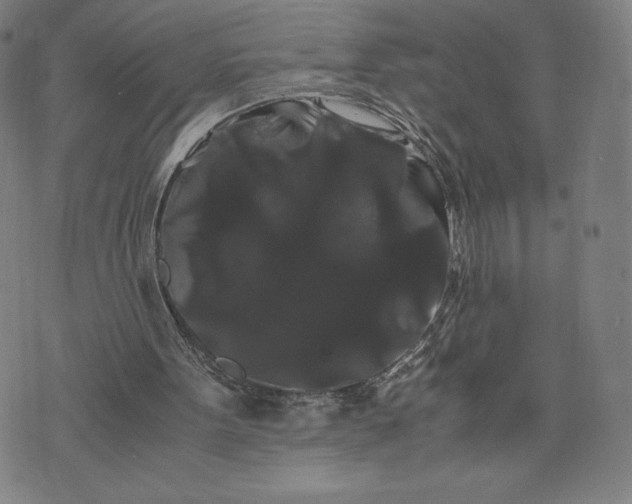 X0000071900099200607281813