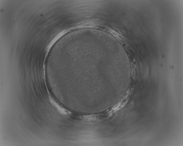 X0000071900100200607281813