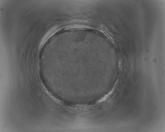 X0000071900101200607281813